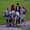 Carriage rides at the Gala