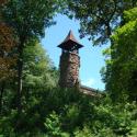 Bell Tower Among Trees